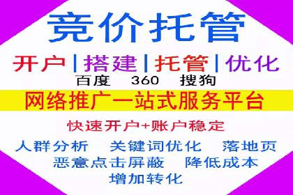 SEM专员案例：跨平台广告投放策略